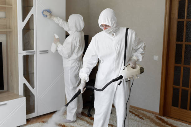Best Mold Testing  in Staples, CT