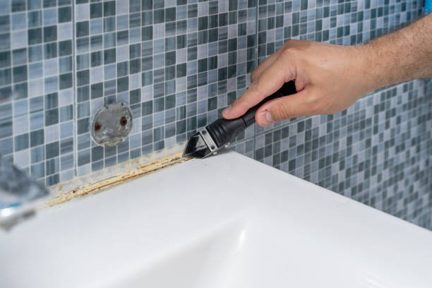 Best Mold Testing  in Staples, CT