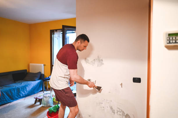 Best Office Mold Removal Services  in Staples, CT